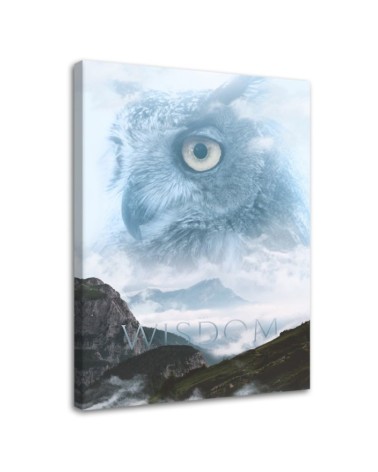 Wall Canvas painting - Bird in the sky reflection Barrett Biggers | FEEBY