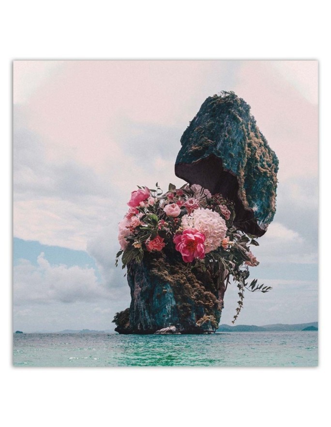 Stylish paintings for living room - Rock with flowers Zehem Chong | FEEBY
