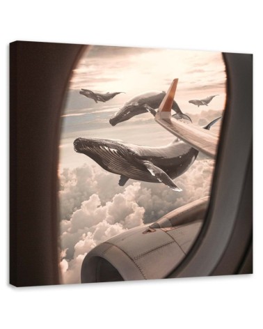 Unusual paintings for the living room - Whale view from a plane Zehem Chong | FEEBY