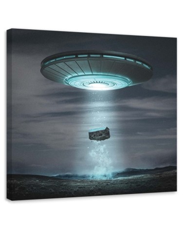 Designer Canvas paintings for living room - Cosmos Zehem Chong | FEEBY