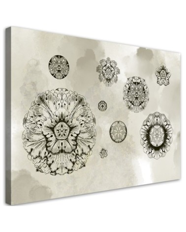 Canvas prints for modern living room - Floral geometric shapes | FEEBY