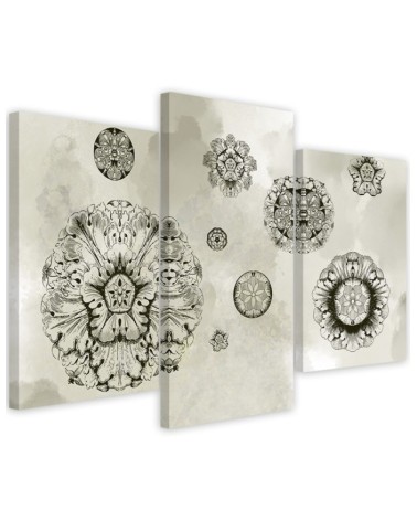 Triptych - Floral geometric shapes | FEEBY