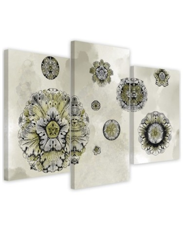 Canvas print triptych - Floral geometric shapes | FEEBY