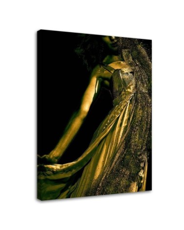 Leinwandbild - Frau im Goldstaub | Feeby