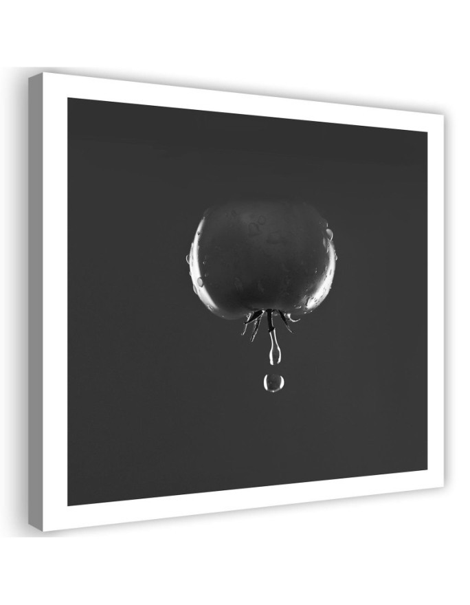 Modernes Wandbild - Tomate Wassertropfen | Feeby