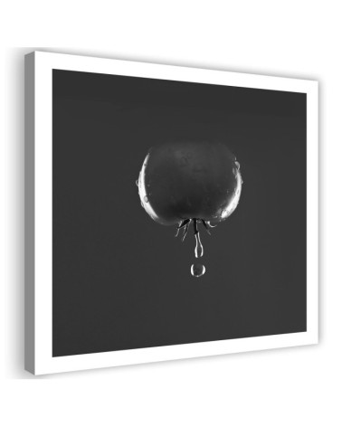 Canvas prints decoration for kitchen - Tomato and water drops black and white | FEEBY