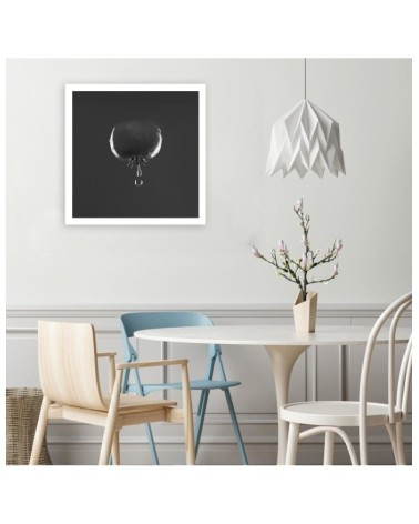 Modernes Wandbild - Tomate Wassertropfen | Feeby