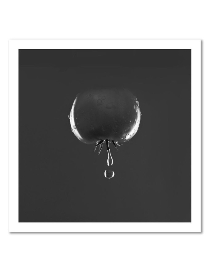 Canvas prints decoration for kitchen - Tomato and water drops black and white | FEEBY