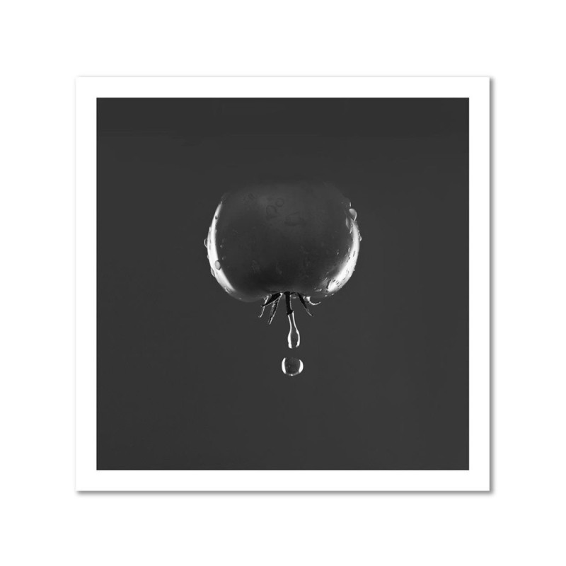 Modernes Wandbild - Tomate Wassertropfen | Feeby