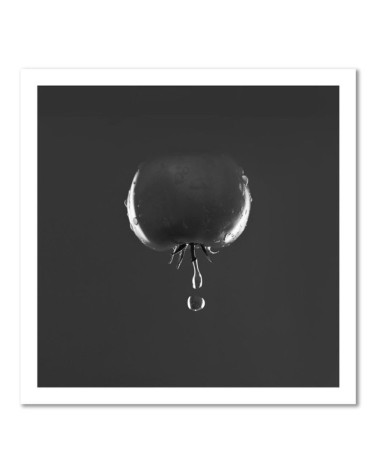 Modernes Wandbild - Tomate Wassertropfen | Feeby