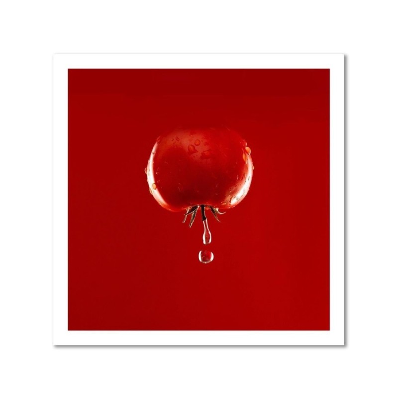 Dekoratives Leinwandbild - Tomate Gemüse | Feeby