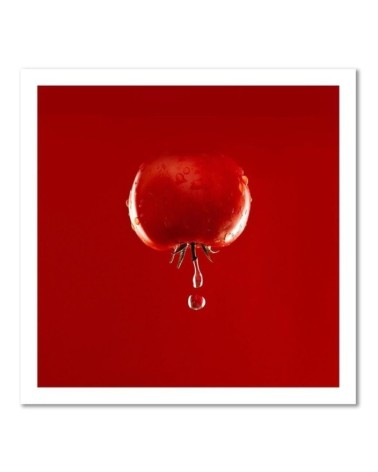 Dekoratives Leinwandbild - Tomate Gemüse | Feeby