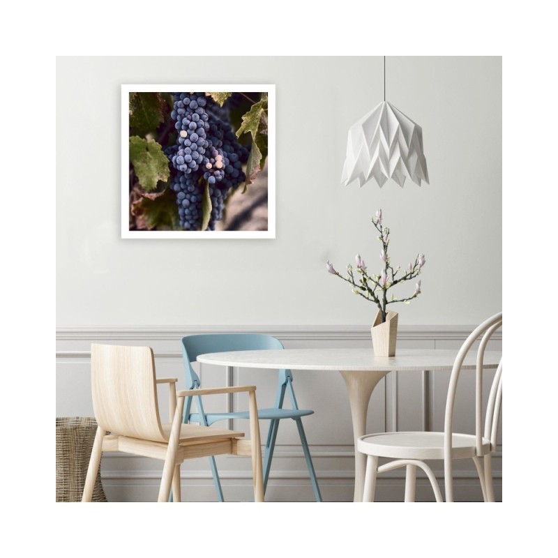 Bild auf Leinwand - Dunkle Weintrauben | Feeby