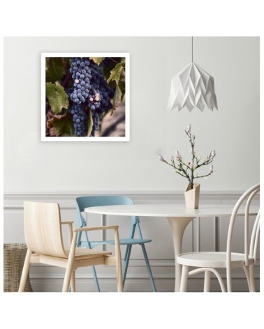 Bild auf Leinwand - Dunkle Weintrauben | Feeby