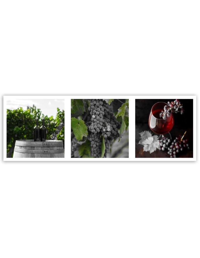 Eleganckie obrazy do kuchnia - Wino winogrona winnica | FEEBY
