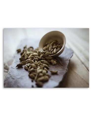 Leinwandbild - Küchengewürze - Kardamom | Feeby