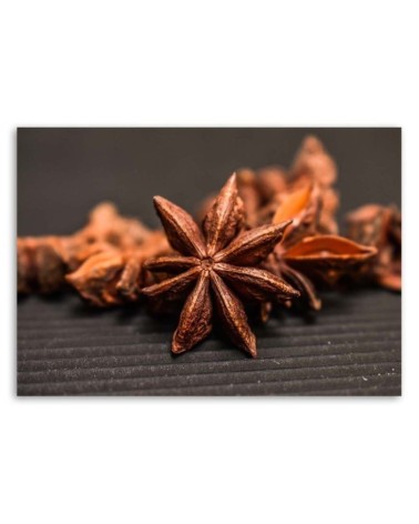 Modernes Wandbild - Zimt und Anis | Feeby