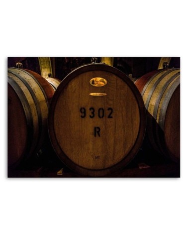 Bild auf Leinwand - Weinfässer | Feeby