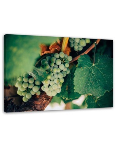 Elegant Canvas print painting for kitchen - Green Grapes | FEEBY
