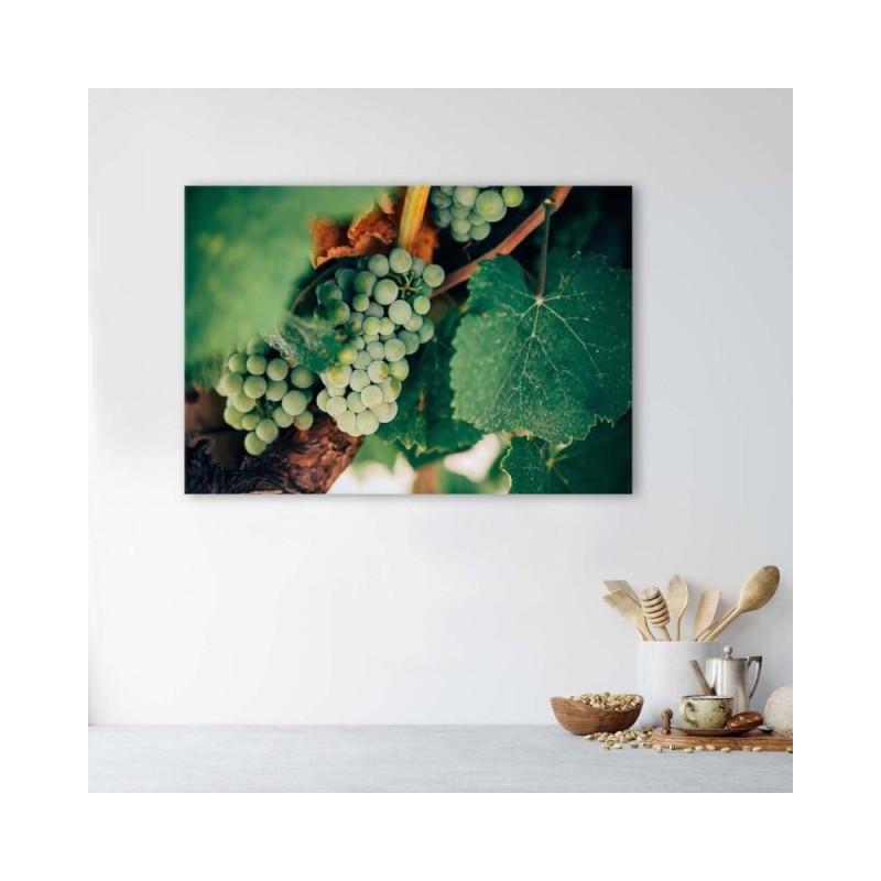 Leinwanddruck - Grüne Weintrauben | Feeby