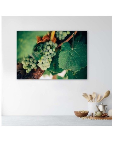 Leinwanddruck - Grüne Weintrauben | Feeby