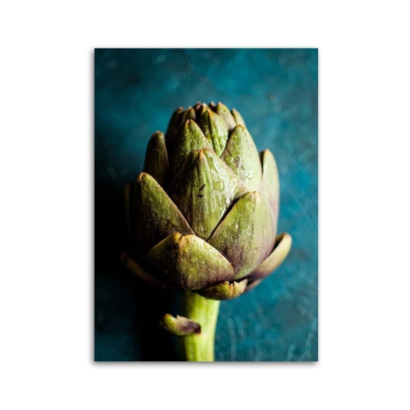 Modernes Wandbild - Artischocke | Feeby