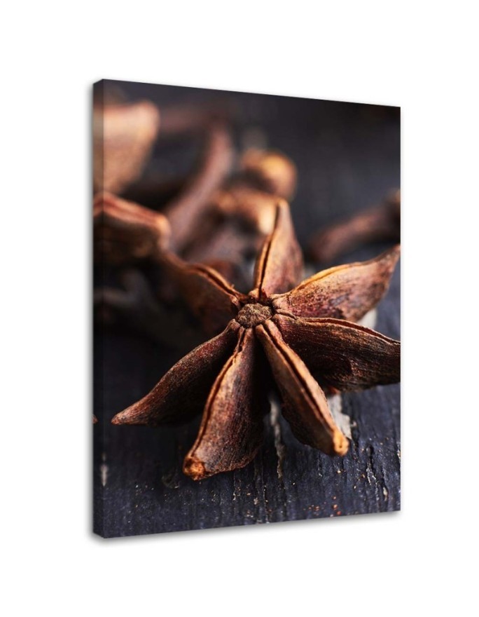 Leinwandbild - Sternanis | Feeby