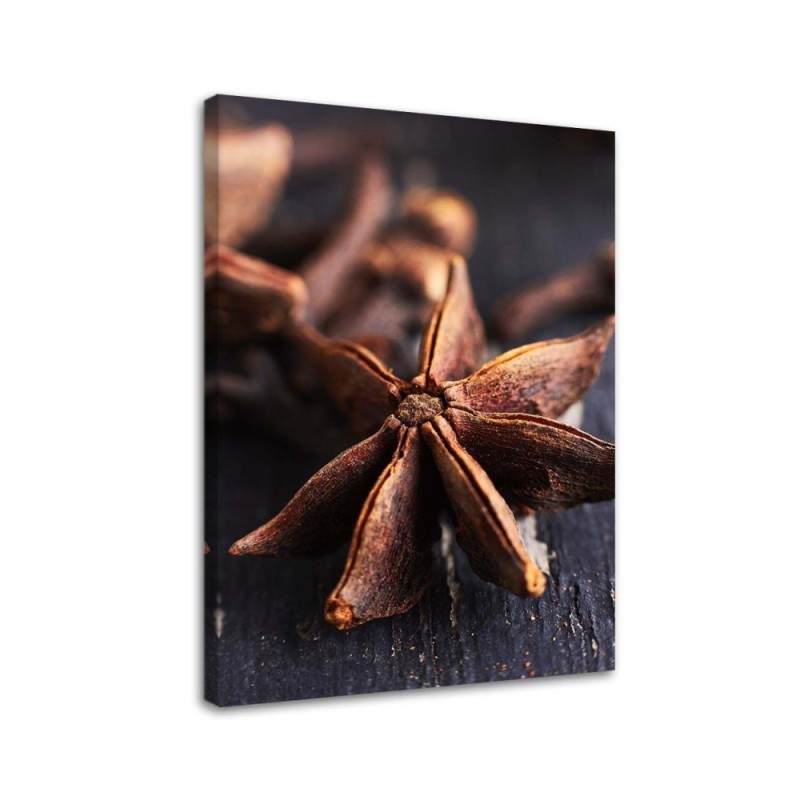 Leinwandbild - Sternanis | Feeby