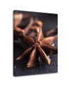 Canvas print - Star anise for kitchen | FEEBY