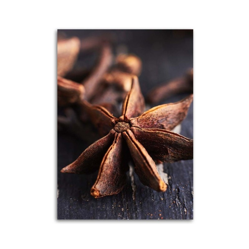 Leinwandbild - Sternanis | Feeby