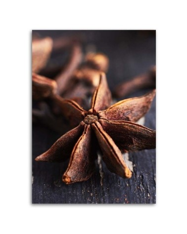 Leinwandbild - Sternanis | Feeby