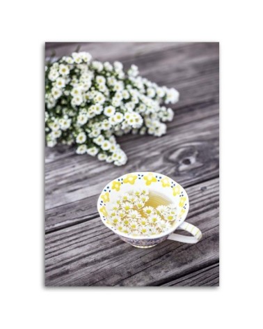 Leinwandbild - Kamille-Aufguss | Feeby