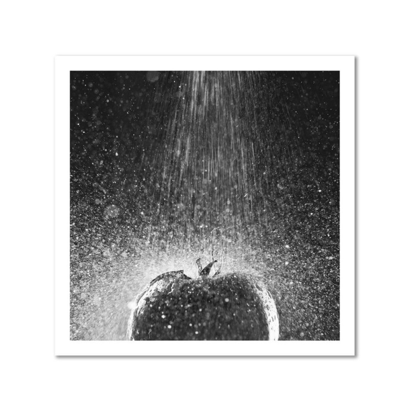 Leinwandbild - Tomate in einem Rinnsal von Wasser | Feeby