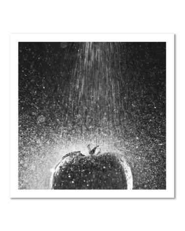 Leinwandbild - Tomate in einem Rinnsal von Wasser | Feeby