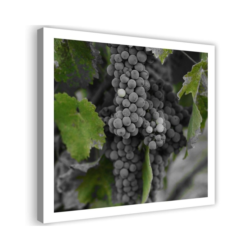 Leinwanddruck - Weintrauben | Feeby