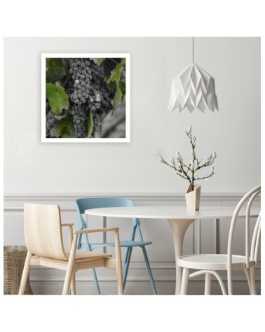 Leinwanddruck - Weintrauben | Feeby