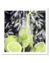 Obraz na ścianę do kuchni - Napój i limonki | FEEBY