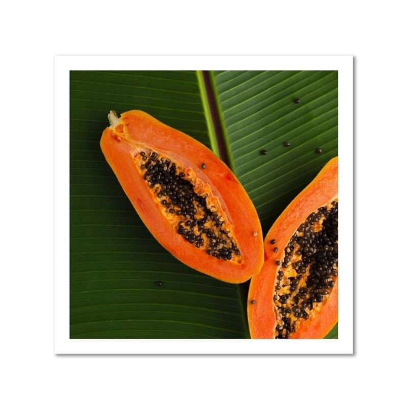 Leinwandbild modern - Papaya auf einem Blatt | Feeby