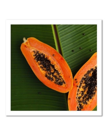 Leinwandbild modern - Papaya auf einem Blatt | Feeby