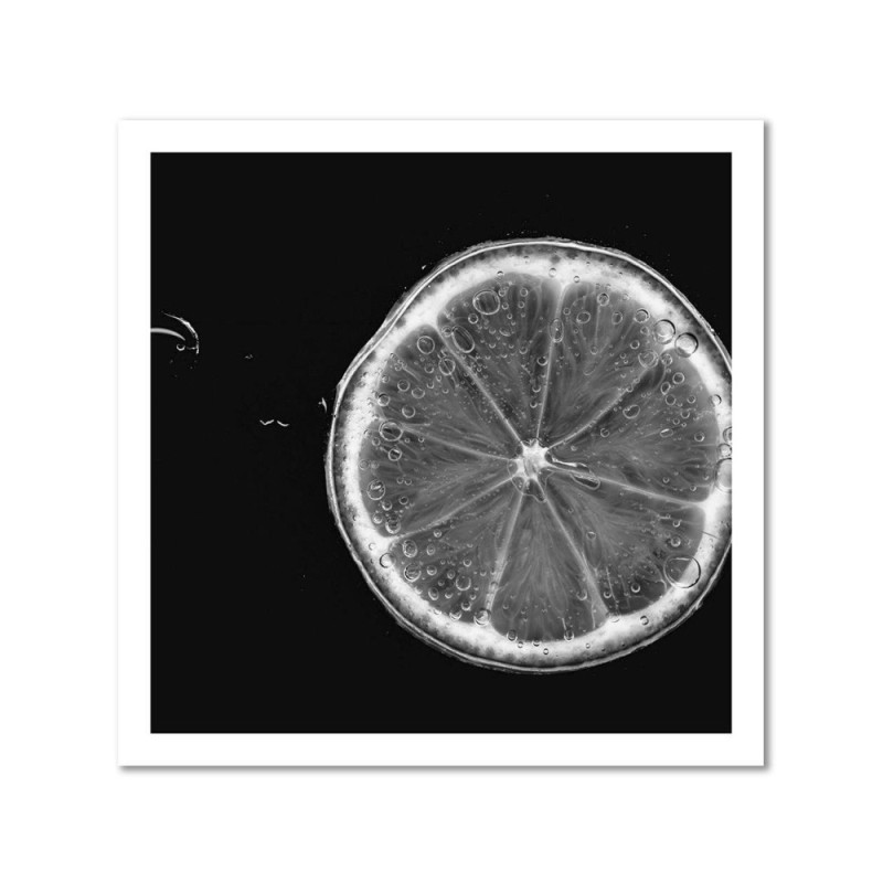Modernes Wandbild - Zitronenscheibe schwarz und weiß | Feeby