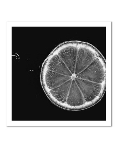 Modernes Wandbild - Zitronenscheibe schwarz und weiß | Feeby