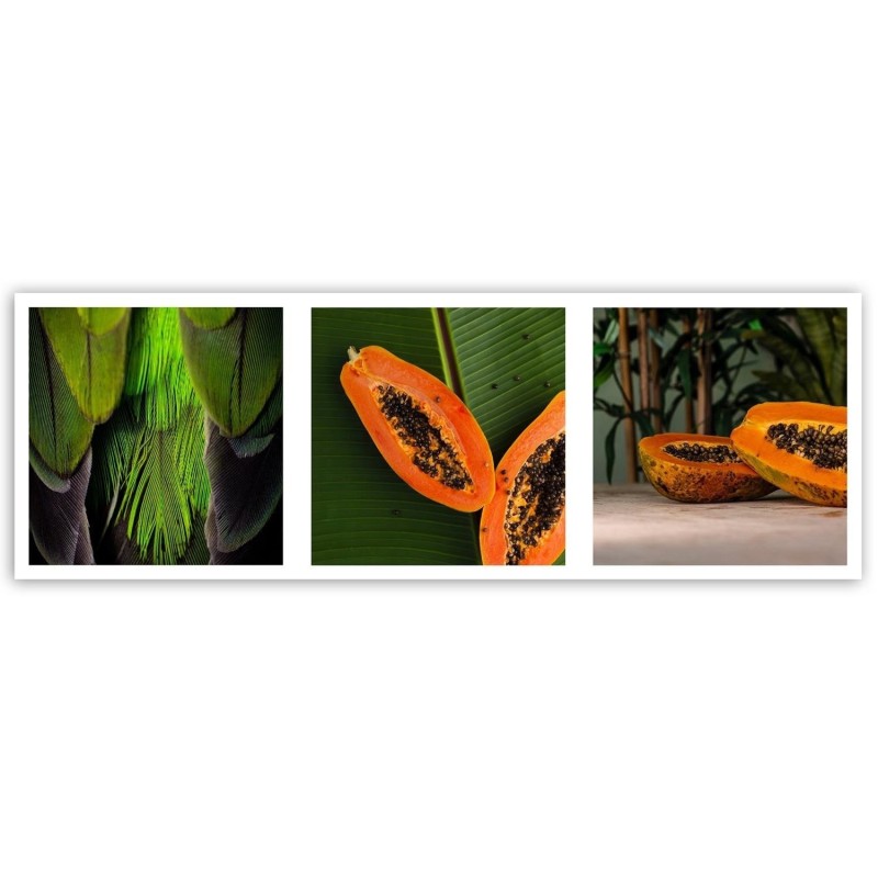 Dekoratives Leinwandbild - Saftige Papaya - Satz | Feeby