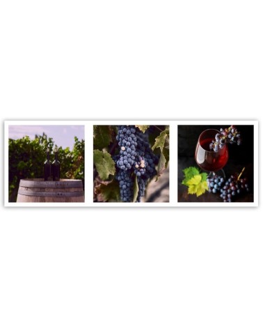 Leinwandbild - Weinbergszauber - Set | Feeby