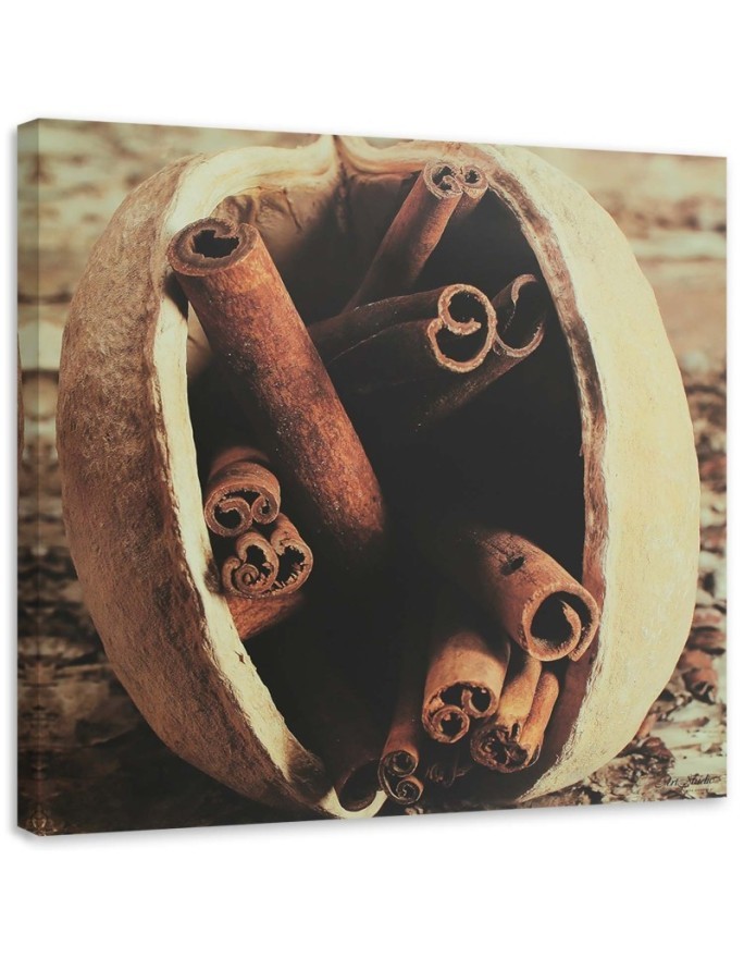 Bild auf Leinwand - Vanillestangen in einer Nuss | Feeby