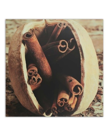 Bild auf Leinwand - Vanillestangen in einer Nuss | Feeby