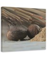 Obraz na ściane do kuchni - Dwie brązowe pestki | FEEBY