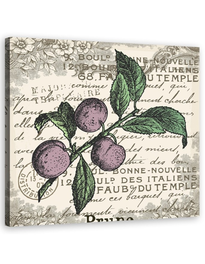 Dekoratives Leinwandbild - Vintage Pflaume | Feeby
