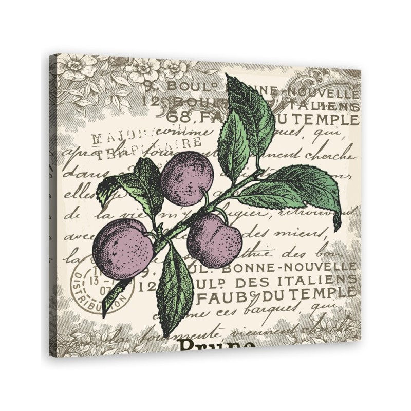Dekoratives Leinwandbild - Vintage Pflaume | Feeby