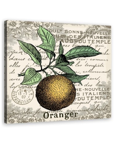 Canvas print - Vintage orange | FEEBY