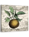 Canvas print - Vintage orange | FEEBY
